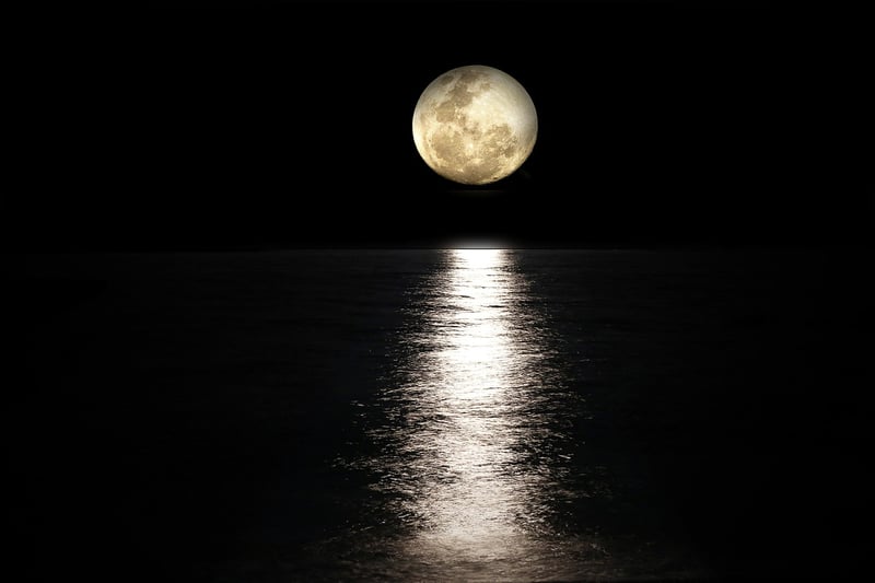 Moonlit Love